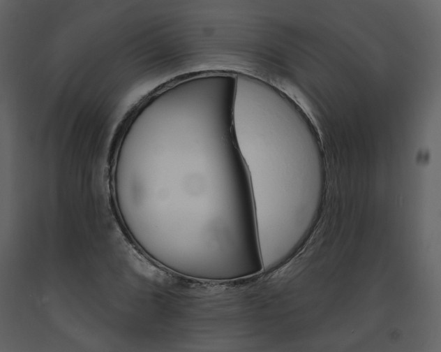 X0000094071072200710190951