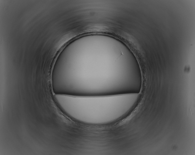 X0000094071073200710190950