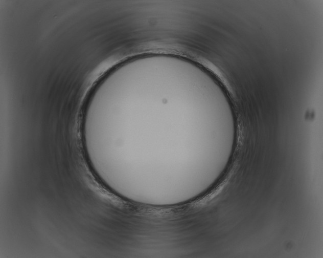 X0000094071074200710190950
