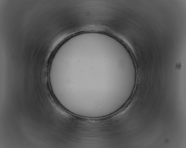 X0000094071075200710190950