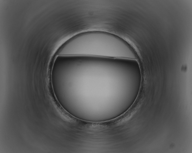 X0000094071077200710190950