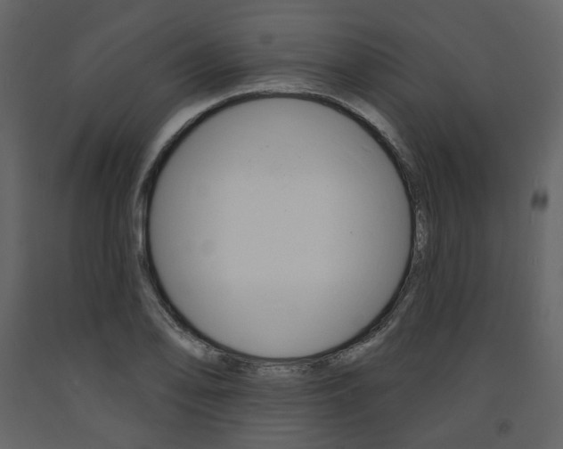 X0000094071078200710190950