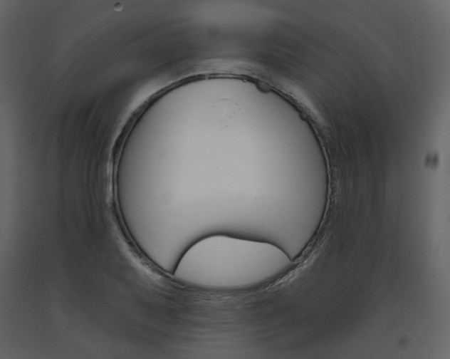 X0000094071079200710190950
