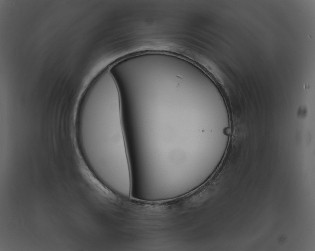 X0000094071080200710190950