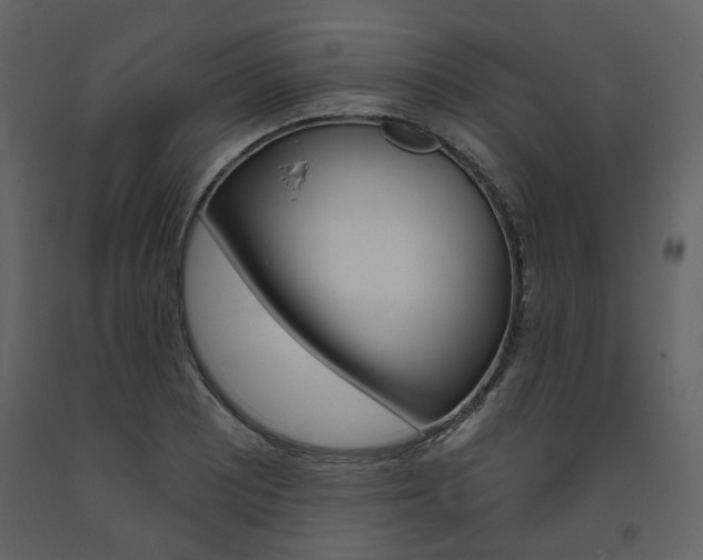 X0000094071081200710190950