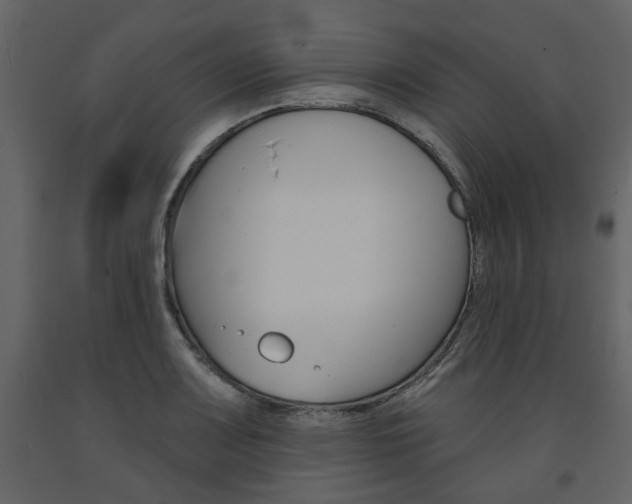 X0000094071083200710190950