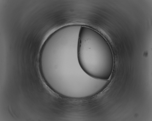 X0000094071085200710190950