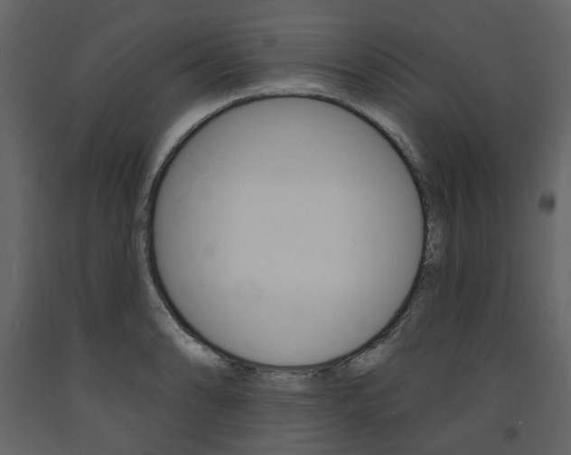 X0000094071086200710190950