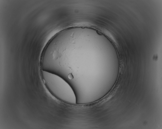 X0000094071087200710190950