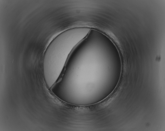 X0000094071089200710190950