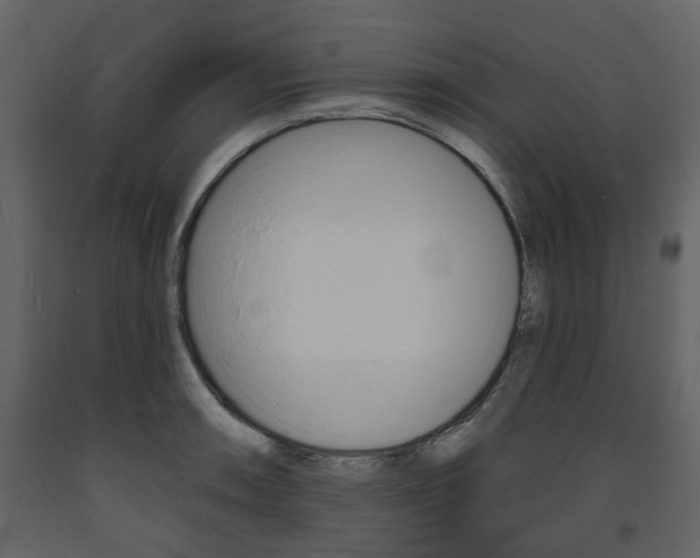 X0000094071090200710190950