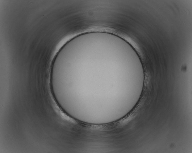 X0000094071094200710190950
