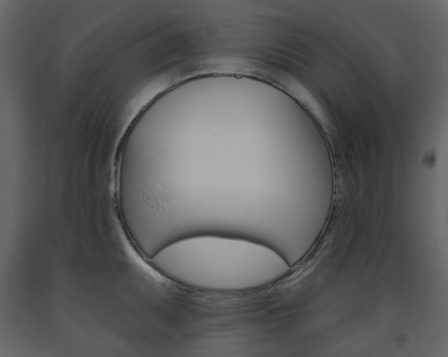 X0000094071095200710190950