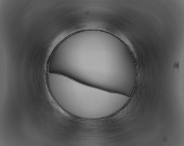 X0000094071096200710190950