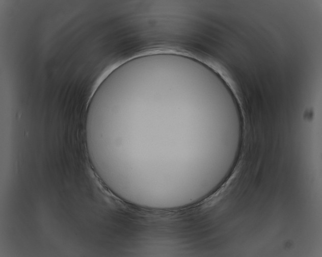 X0000094071097200710190950