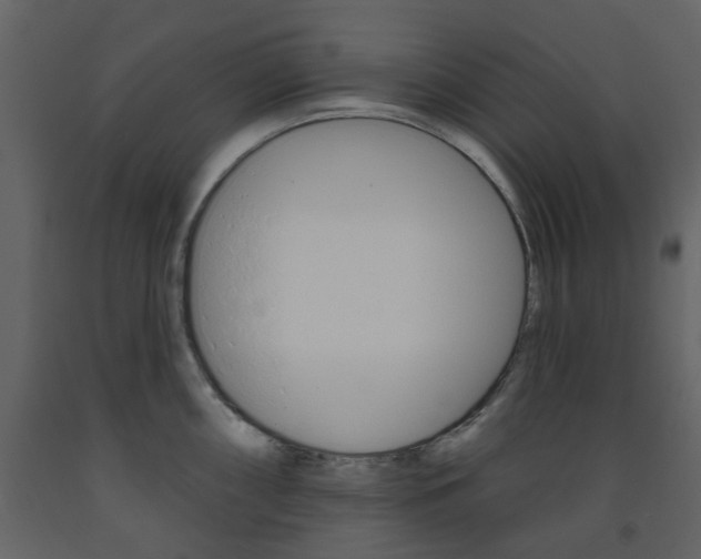 X0000094071098200710190950