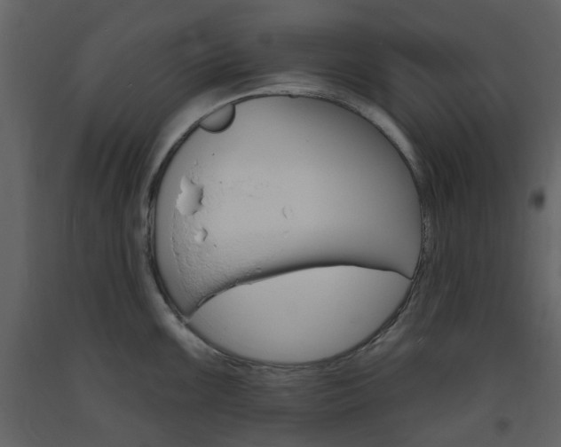 X0000094071099200710190950
