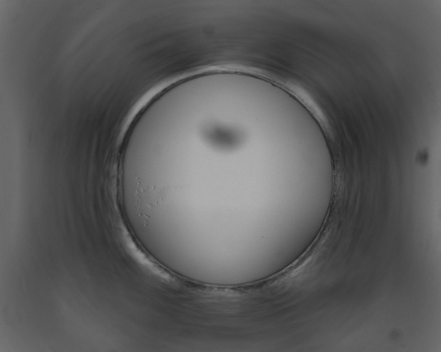X0000094071100200710190950