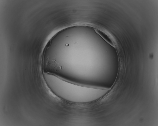 X0000094071102200710190950