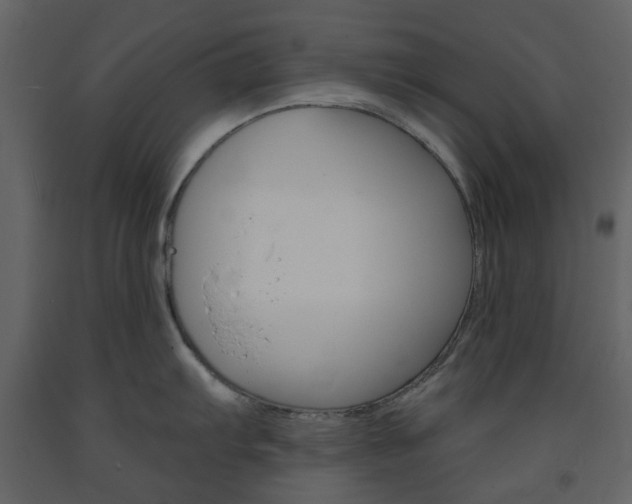 X0000094071103200710190950