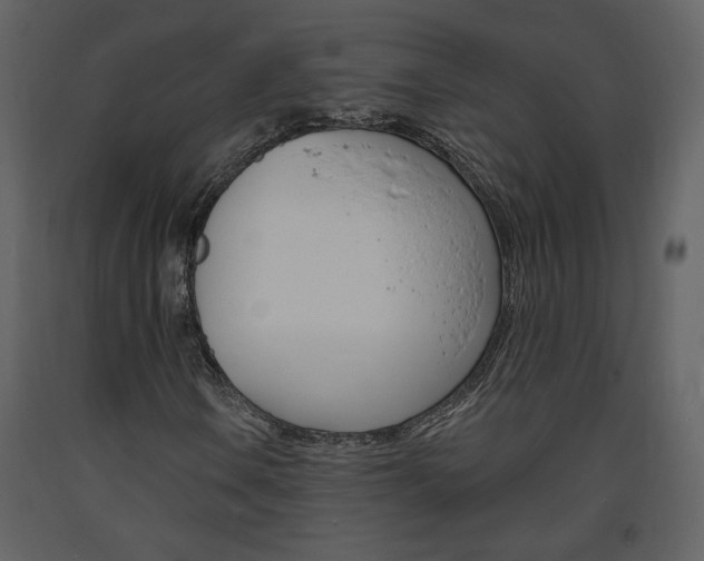 X0000094071106200710190949