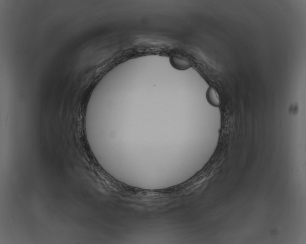 X0000094071109200710190949