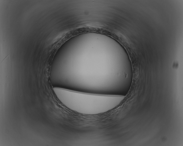 X0000094071110200710190949
