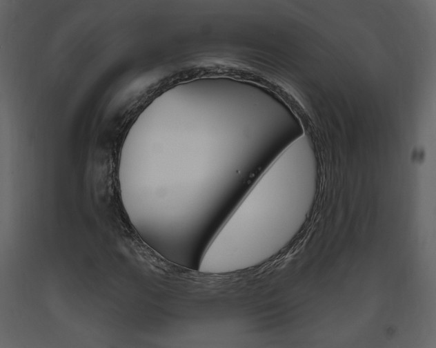 X0000094071111200710190949