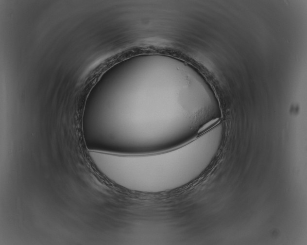 X0000094071112200710190949