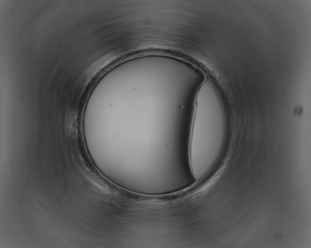 X0000094071113200710190950