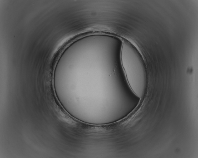 X0000094071115200710190950