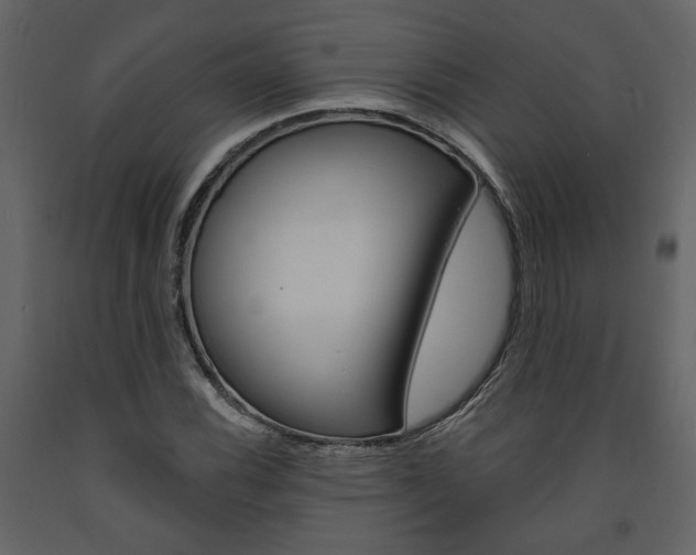 X0000094071116200710190950