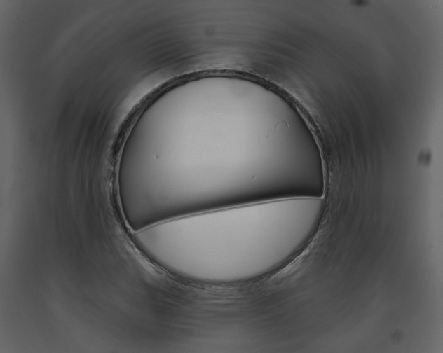 X0000094071119200710190950