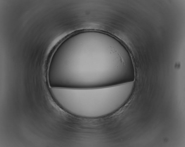 X0000094071120200710190950