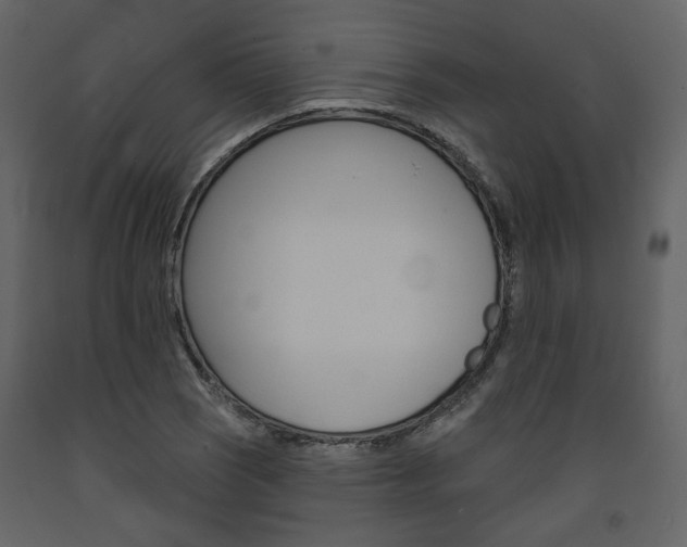 X0000094071121200710190950