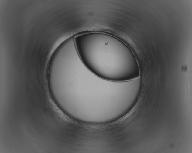 X0000094071122200710190950