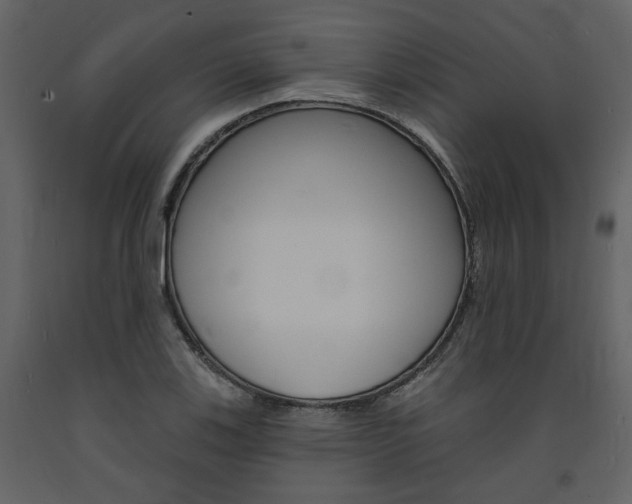X0000094071123200710190950