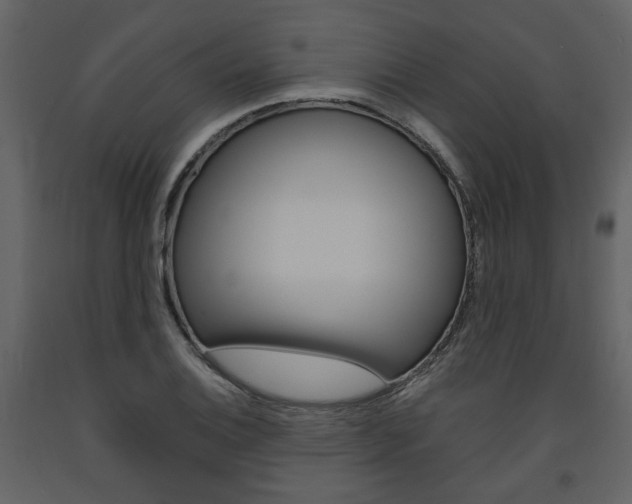 X0000094071124200710190950