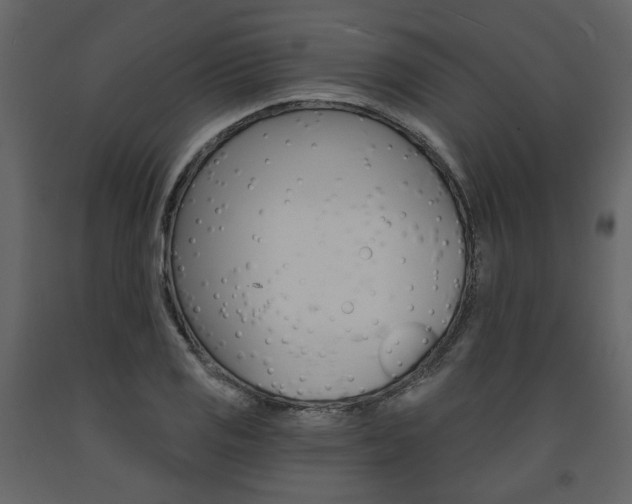 X0000094071125200710190950