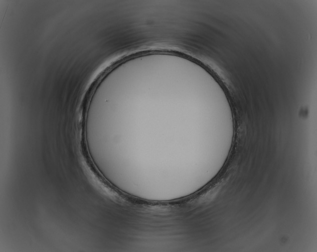 X0000094071126200710190950