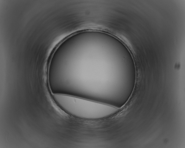 X0000094071128200710190950