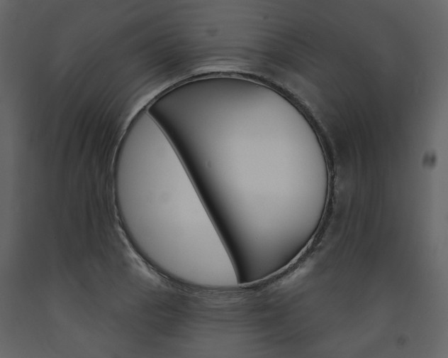 X0000094071129200710190950