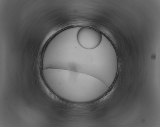 X0000094071130200710190950