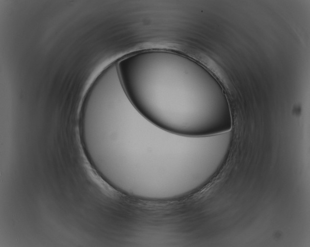 X0000094071132200710190950
