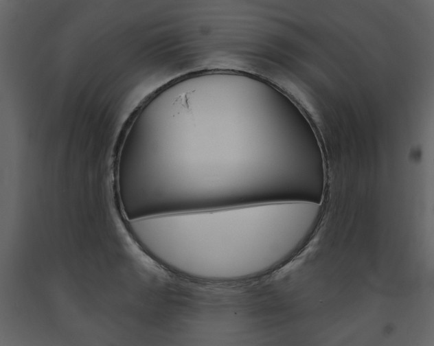 X0000094071133200710190950