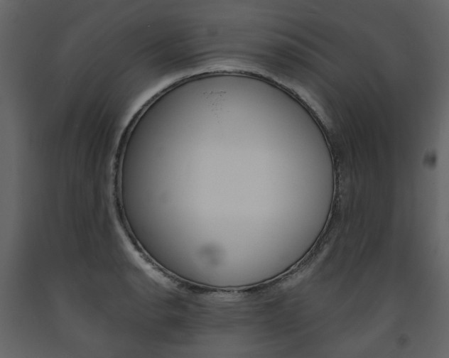 X0000094071134200710190950