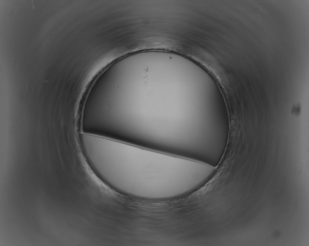 X0000094071135200710190950