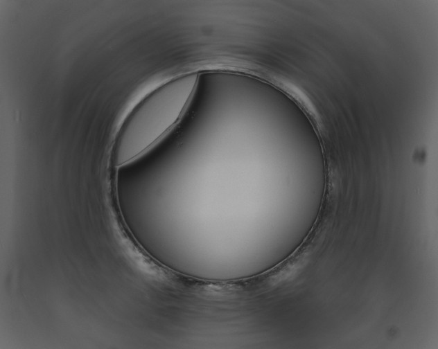 X0000094071138200710190950