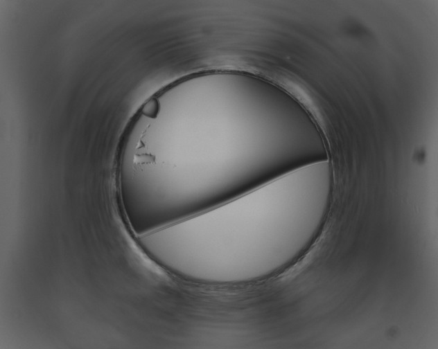 X0000094071141200710190950