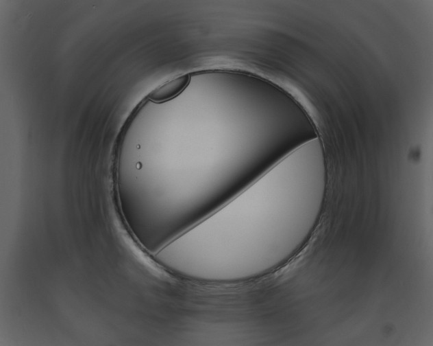 X0000094071142200710190950